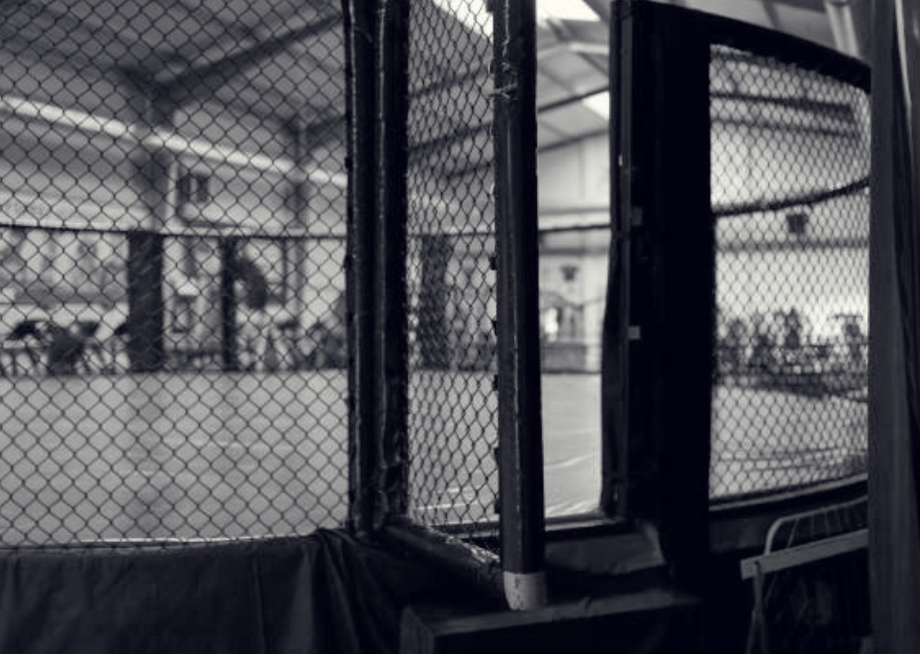 Fight Camp: Sparring & Game Planning